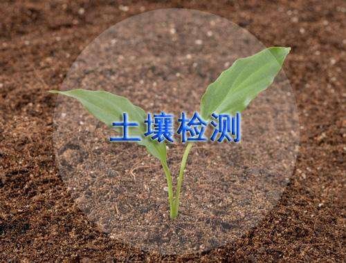 不管混凝土还是泥土离子检测，离子色谱全搞定