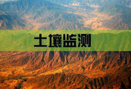 用于土壤中氟离子检测的离子色谱仪