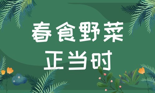 食品安全不能松懈 春暖花开采食野菜要慎重 食品安全不能松懈 春暖花开采食野菜要慎重